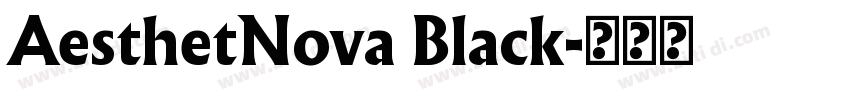 AesthetNova Black字体转换